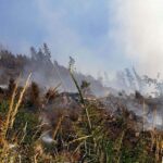 Raed Arafat: Incendiul uriaș de vegetație din Maramureș a fost localizat. Situația este sub control