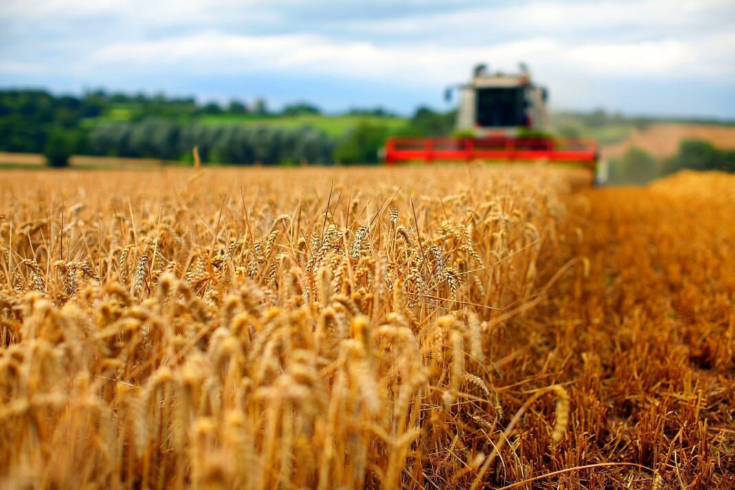 ministrul ucrainean exportul cereale