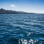 Temperatura oceanelor, nou record de temperatură, de 20,96 grade Celsius