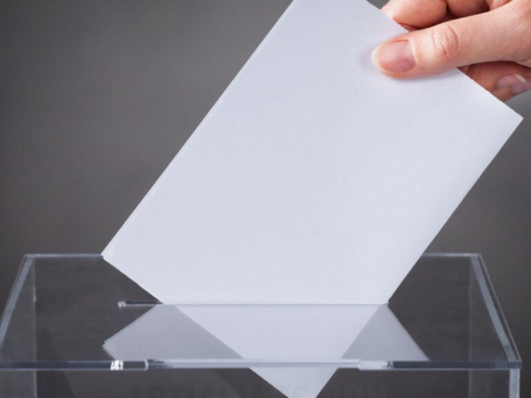 Măsurile și condițiile pentru votul cu urna specială la europarlamentare și locale