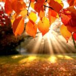 Prognoza meteo pe 2 săptămâni pentru fiecare regiune. Când se răcorește vremea