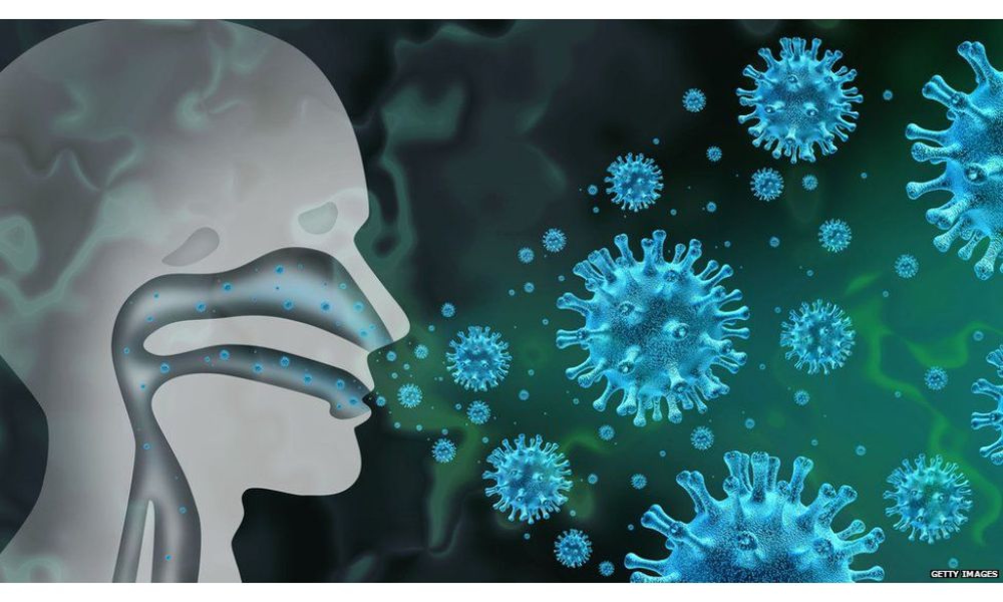 Возникновение гриппа. Риновирусная инфекция вирус. Вирус гриппа под микроскопом и коронавирус. Изображение вируса гриппа. Возбудители риновирусной инфекции.