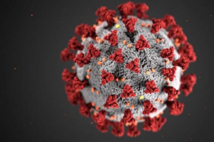 Mai multe ipoteze privind originea coronavirusului au fost lansate