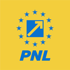 conducere PNL
