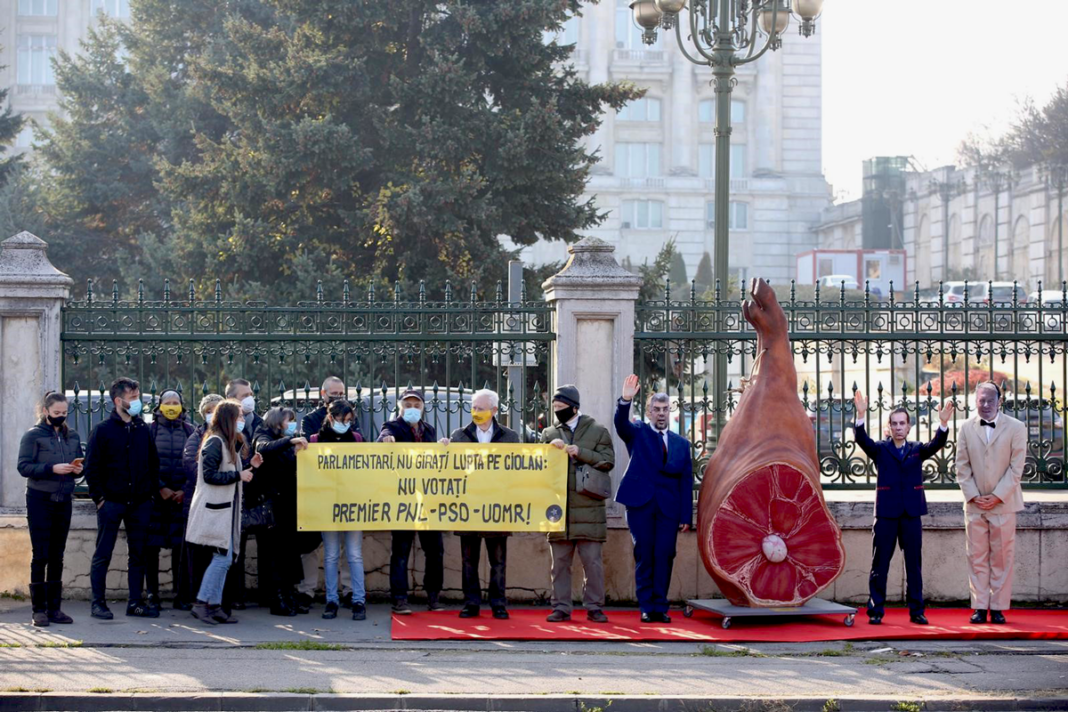 Protest la Parlament