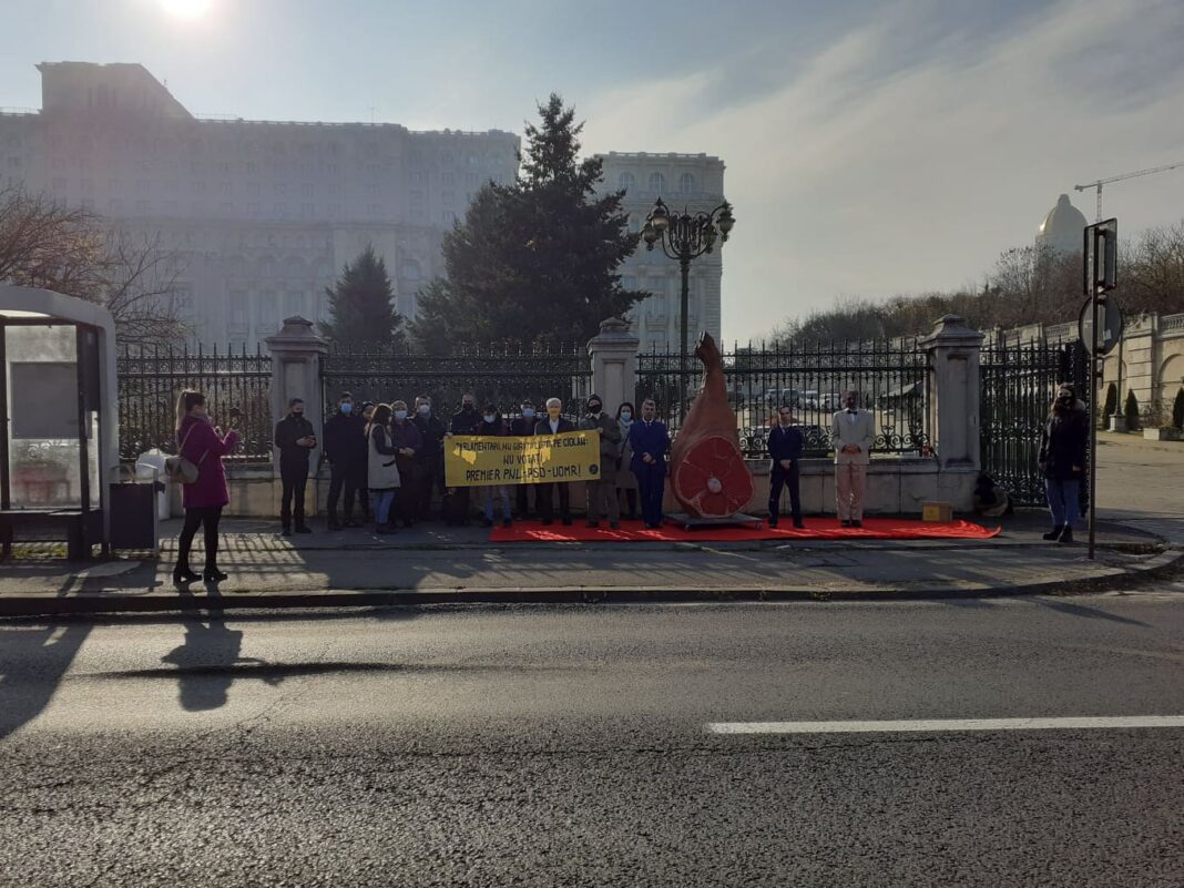 Protestatarii cer să nu fie votat guvernul Ciucă