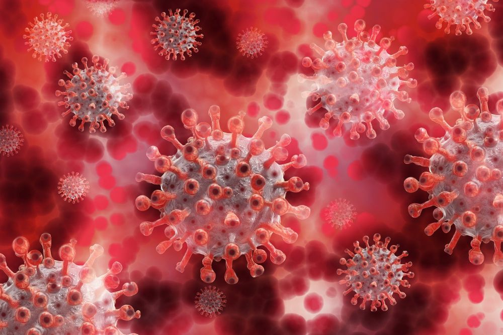 Condiții de călătorie în Italia în contexul pandemiei de coronavirus/Așa arată Covid la microscop