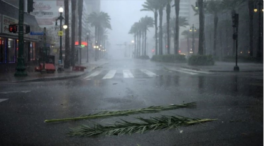 Resturi de palmieri pe stradă în timpul uraganului Ida din New Orleans, Louisiana, SUA