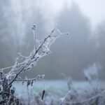 Prognoza meteo pe regiuni. Cum va fi vremea în primele două săptămâni din 2024