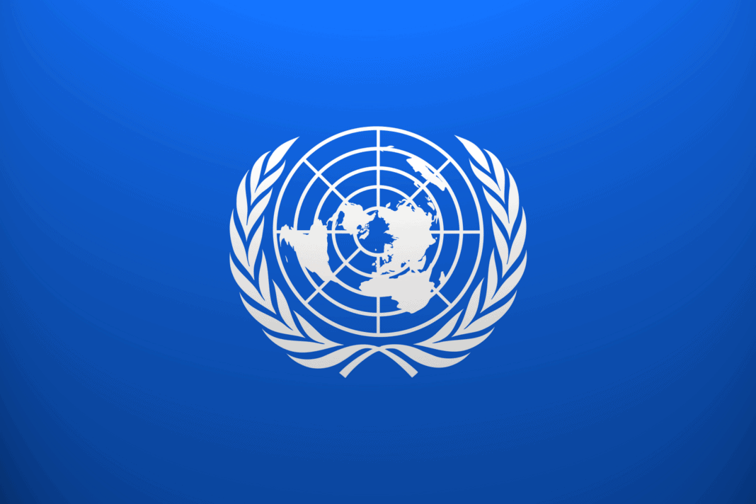 ONU despre ajutor Gaza