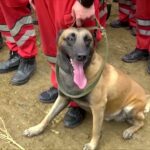 Echipele de recuperare caută a doua cutie neagră a avionului din China prăbușit luni