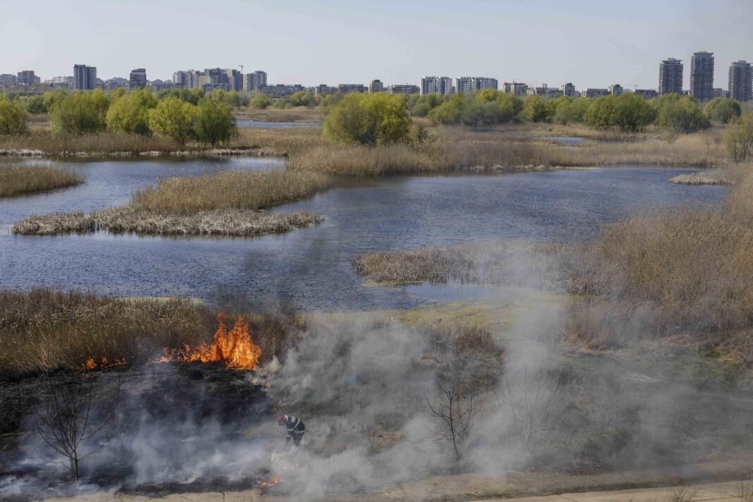 incendiu Deltei Dunării