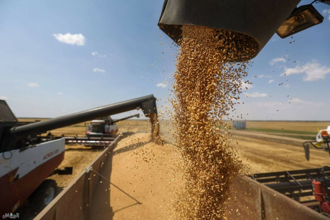 Putin exporturile cereale Ucraina