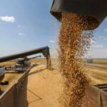 Boris Johnson vrea ca G7 să găsească modalități de reluare a exportului de cereale din Ucraina