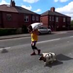 VIDEO: Un bărbat și un câine concurează la Campionatul Mondial de Transportat Cărbuni