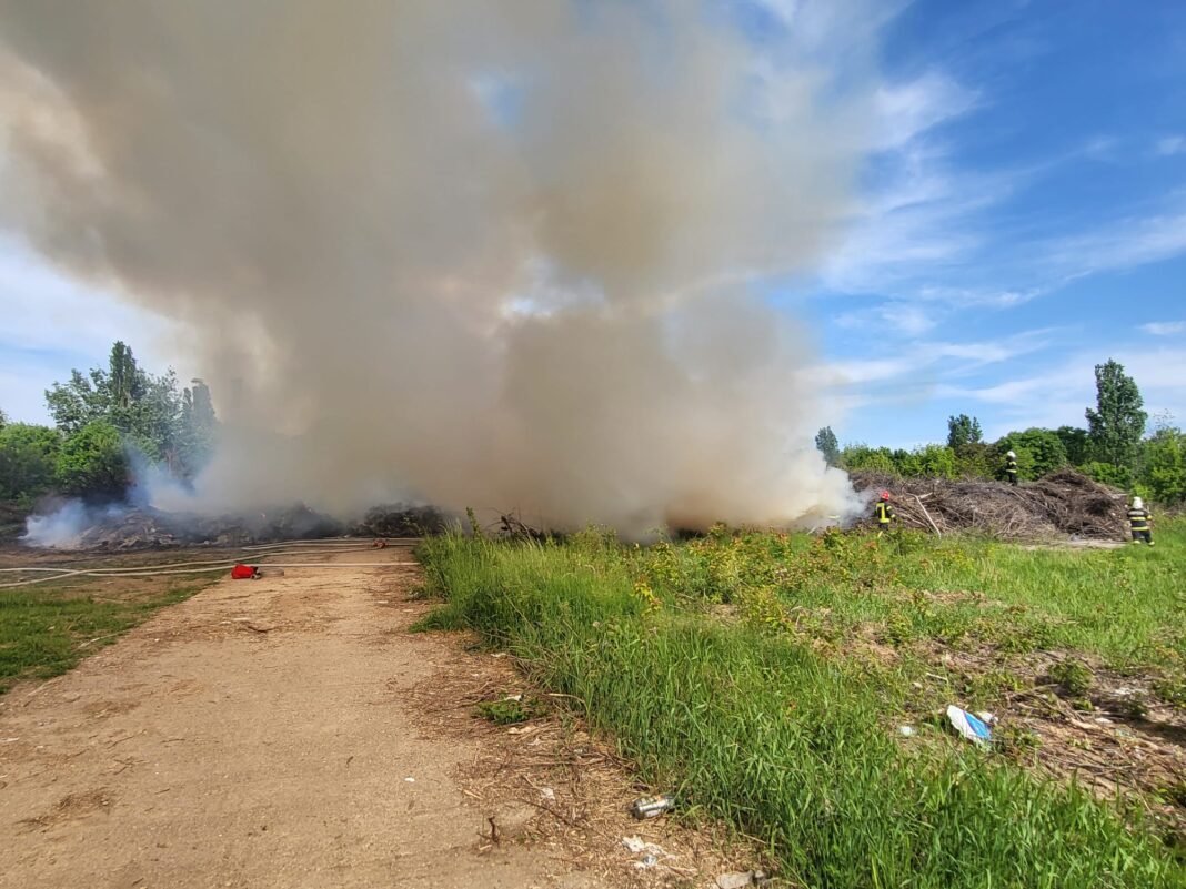 incendiu vegetație Piatra-Oltlt