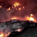 Stocurile de semințe de floarea soarelui din Ucraina au luat foc după ce au fost decojite