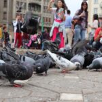 Momente de panică la Timișoara. O mamă și-a pierdut copilul chiar de 1 iunie