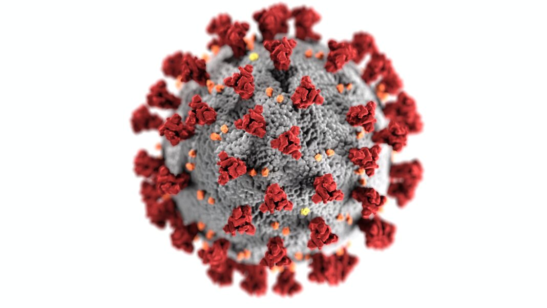 Photo by CDC: https://www.pexels.com/photo/coronavirus-3992933/