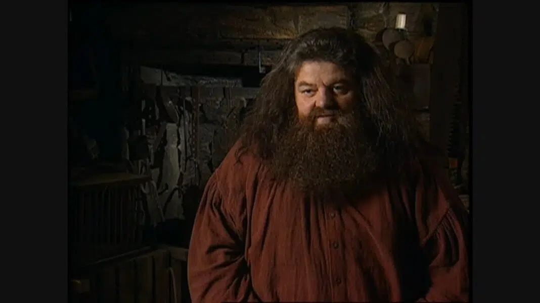 harry potter Robbie Coltrane