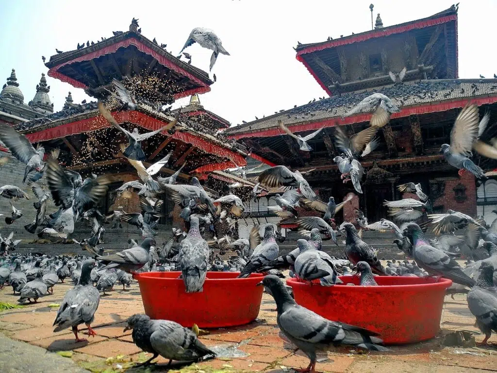 destinații turistice Nepal