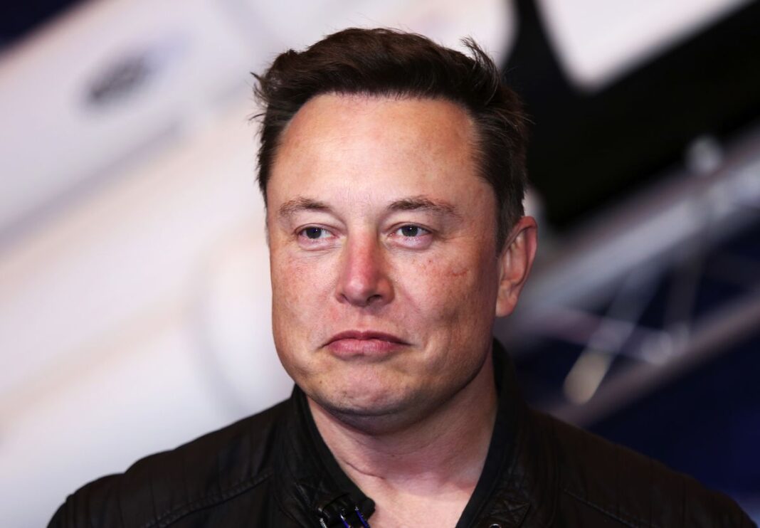 Elon Musk politică