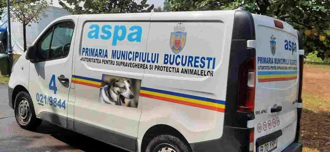 poliție ecarisaj