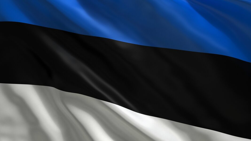 Estonia despre Rusia Ucraina