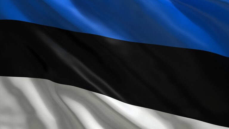 Șeful armatei estone vrea dublarea bugetului apărării de 3% din PIB