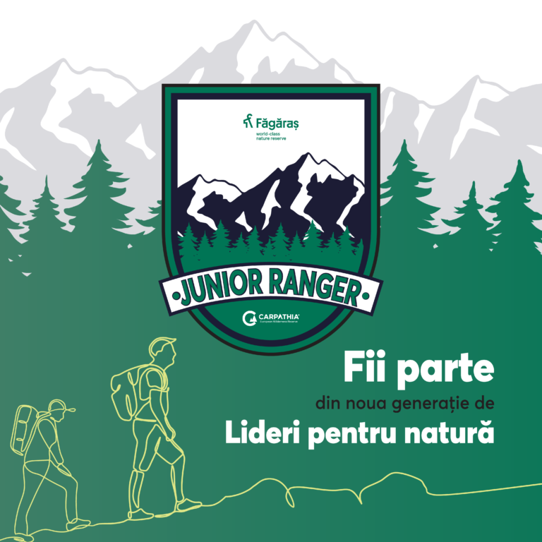 Copiii români pot urma un program gratuit intitulat “Junior Ranger”