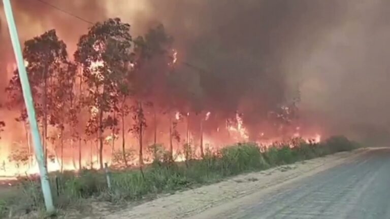 Incendiile de pădure fac cerul portocaliu în Argentina