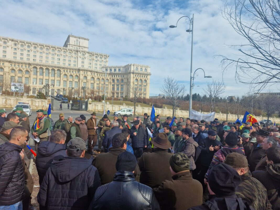 protest sindicaliști Silva Parlament Meridian