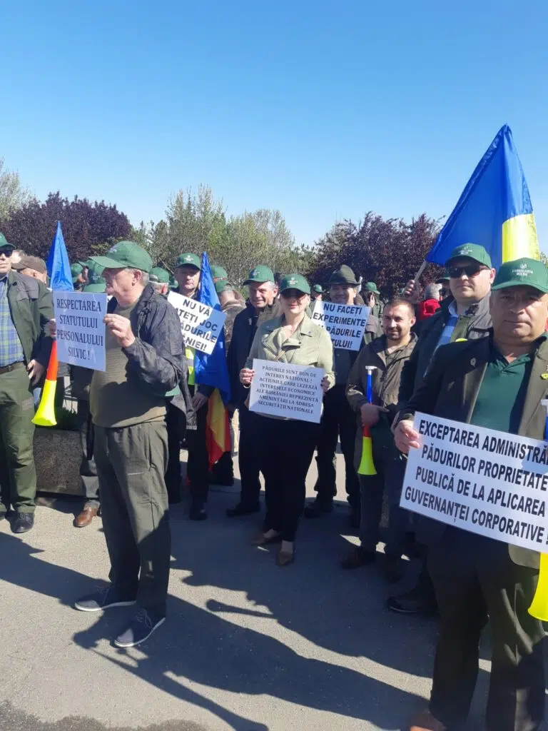 Protest silvicutori Parlament