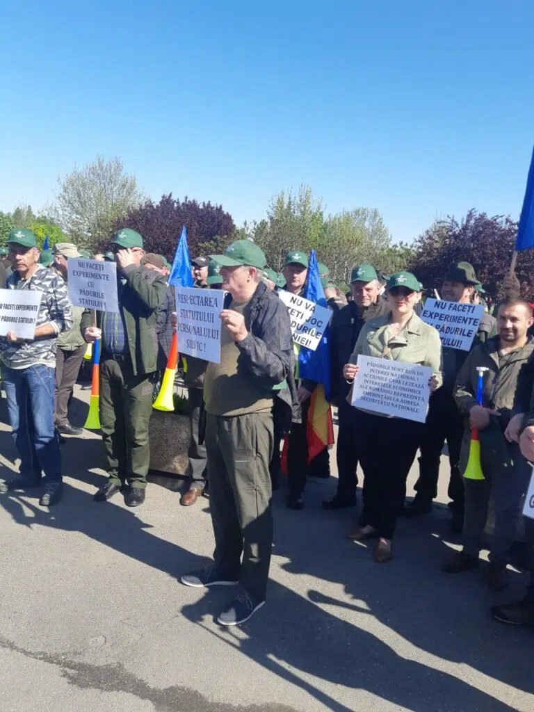 Protest silvicutori Parlament