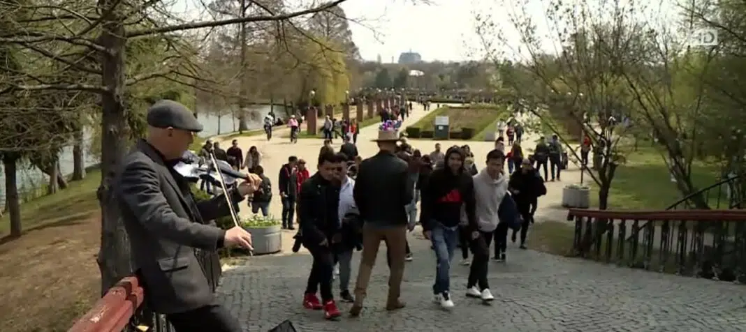 parc florii bucuresti