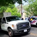 VIDEO: Un urs a băgat spaima într-un cartier întreg! Autoritățile l-au capturat