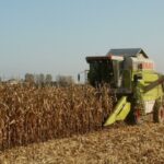 România, pe locul șapte în UE la valoarea producției agricole, în contextul unui declin la nivel european