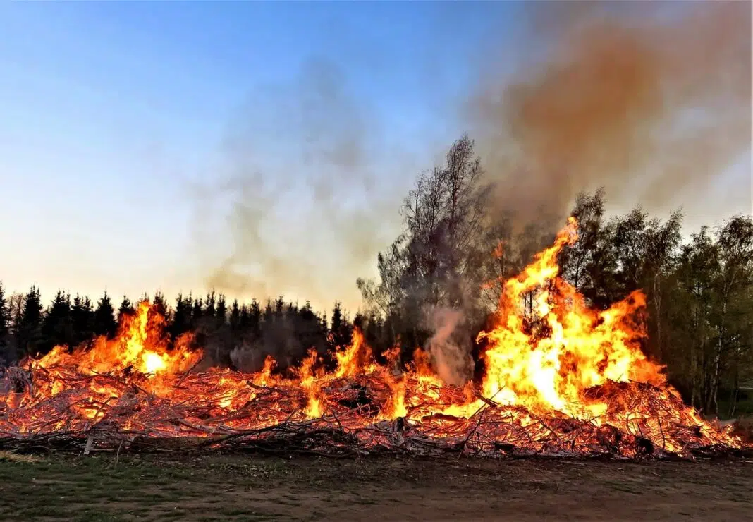 incendii vegetație alba