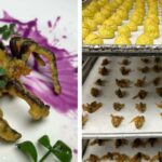 Tarantulă în crustă, guacoamole cu furnici negre sau popcorn cu lăcuste. De ce un meniu cu insecte le-ar provoca indigestii românilor
