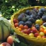 Dieta de toamnă care te ajută să dai jos rapid kilogramele acumulate în concediul din vară