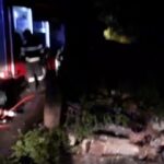 Beat la volan, un bărbat era să-și omoare soția și cei doi copii minori! Accident cumplit în județul Vaslui