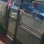 Șoferul drogat care a ucis o femeie chiar de ziua ei e fost ofițer BCCOA și șef de cabinet al lui Gavril Dejeu