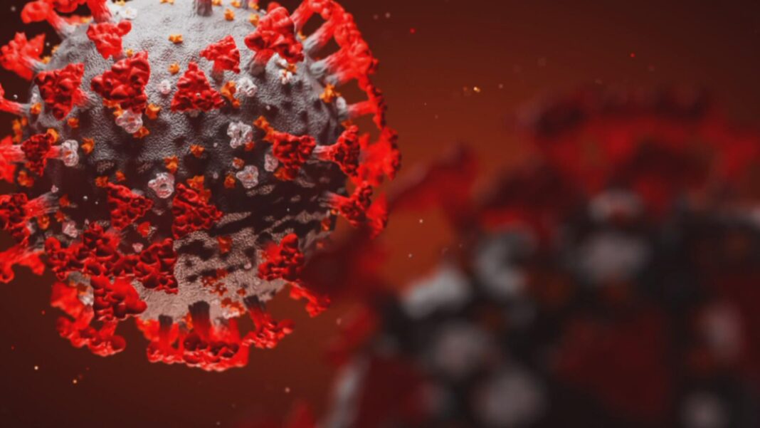 China, în alertă după peste 7.000 de cazuri de virus chikungunya în provincia Guangdong