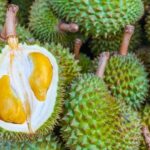 Fructul exotic cu miros urât care este la mare căutare