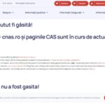 CNAS caută IT-ist cu un salariu de 4.000 de euro. Pentru cei interesați