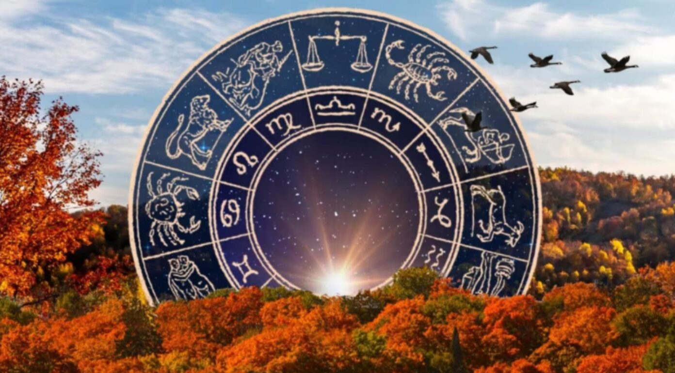 Horoscop 8 noiembrie 2024. Fecioarele, moment ideal pentru a se concentra pe detalii