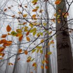 Vremea 20 septembrie – Temperaturi anormale, furtuni violete