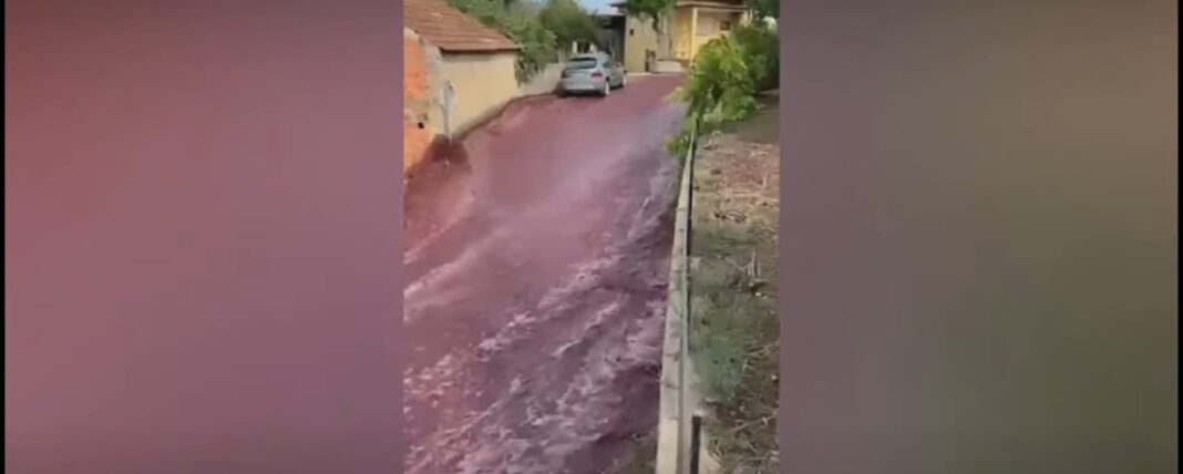 vin rosu portugalia inundatii