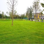 Sectorul 4 construiește creșă, grădiniță și școală în vecinătatea parcului Tudor Arghezi!