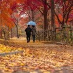 Vremea 13 octombrie – Revin temperaturile de vară